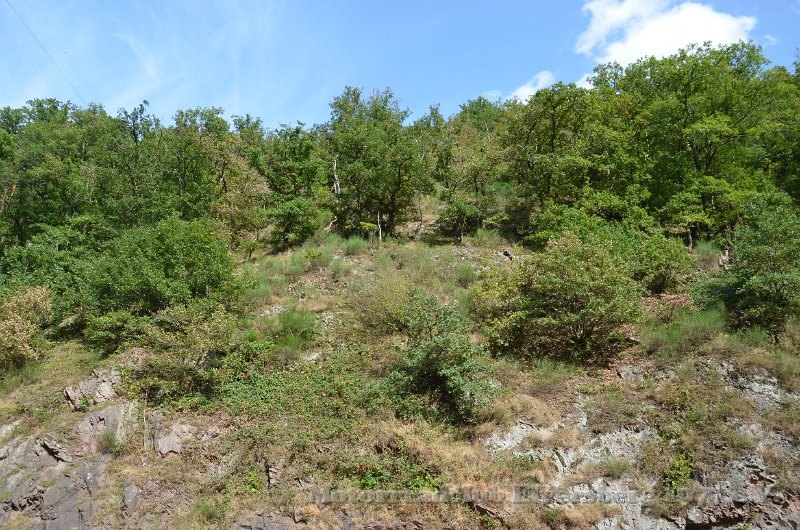 Schwarzwald 2021 - 072